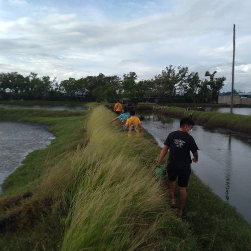 Photo #10725849