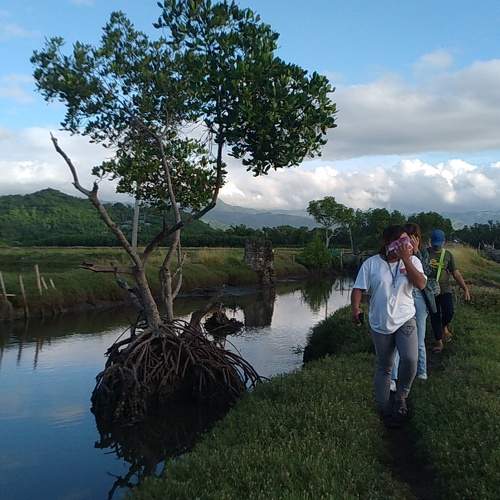 Photo #10725860