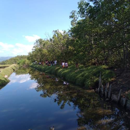 Photo #10725866