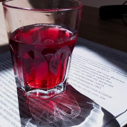 Photo #10725960