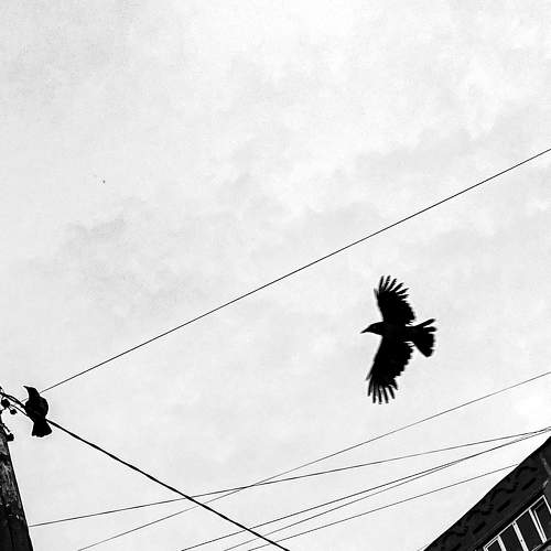 Photo #10726562