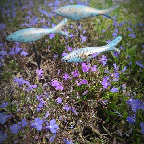 Photo #10726978