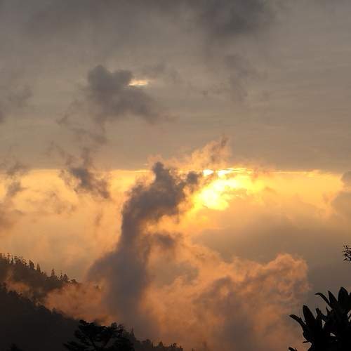 Photo #10727146