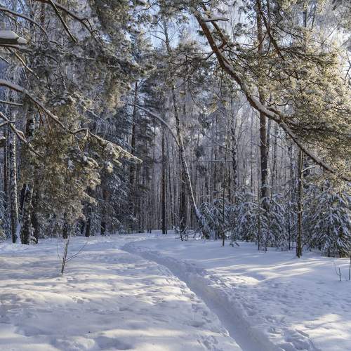 Photo #10727182