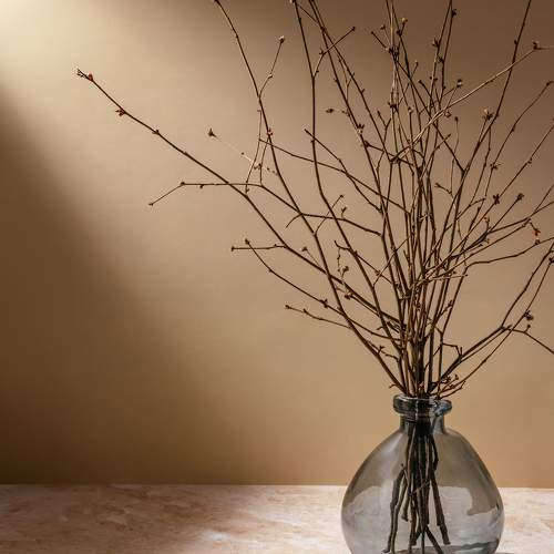 Photo #10727363