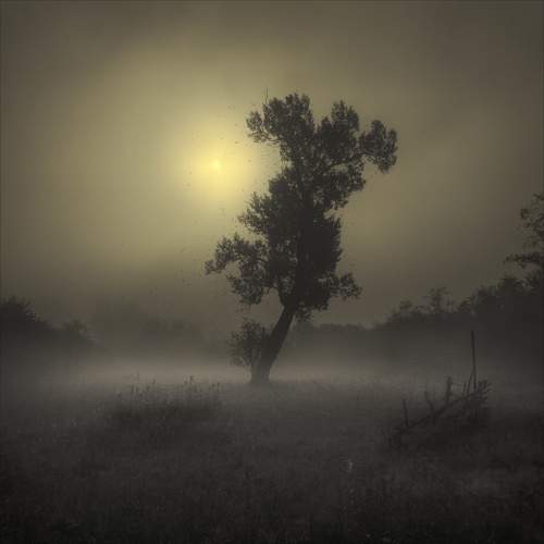 Photo #10727699