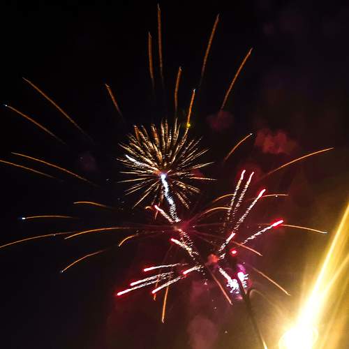 Photo #10727701