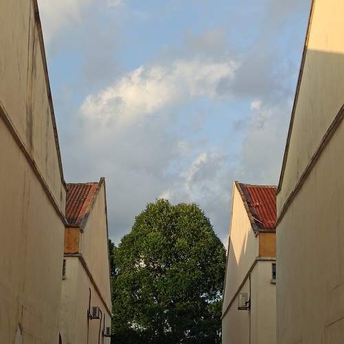 Photo #10728027