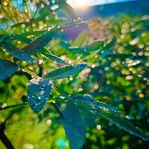Photo #10728167