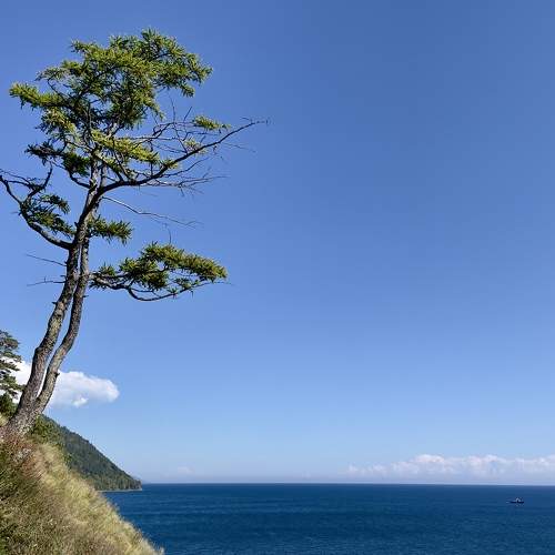 Photo #10728392