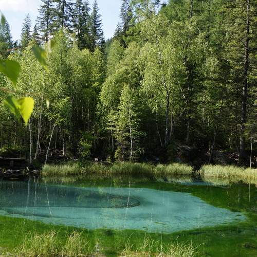 Photo #10728401