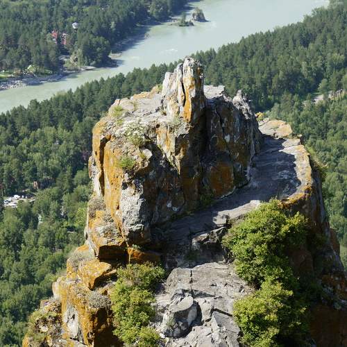 Photo #10728405