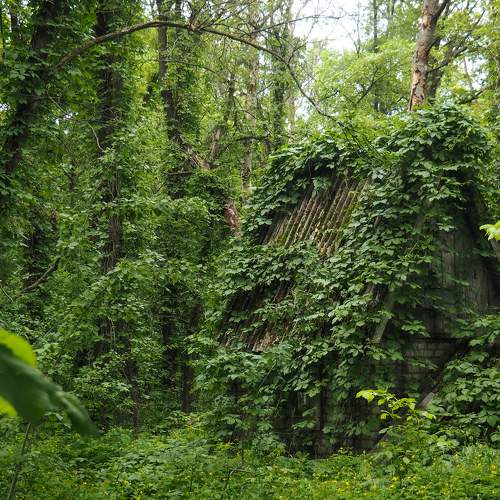 Photo #10728510