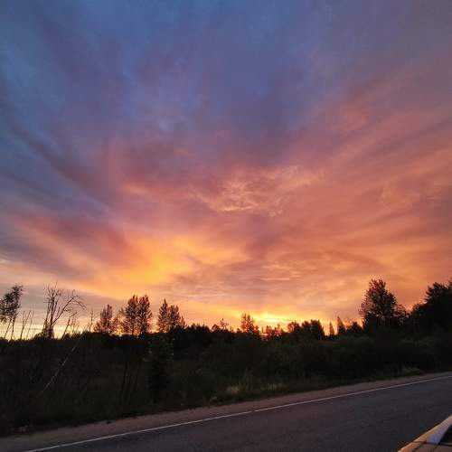 Photo #10728774