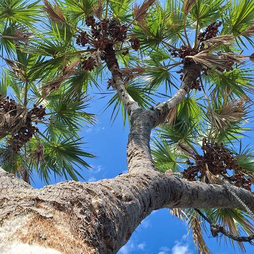 Photo #10728820