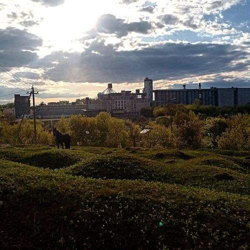 Photo #10729167