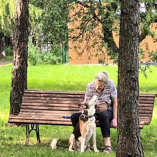 Photo #10729172