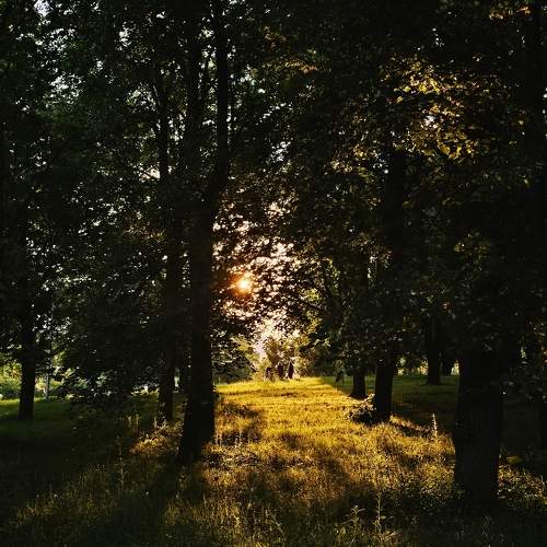Photo #10729558