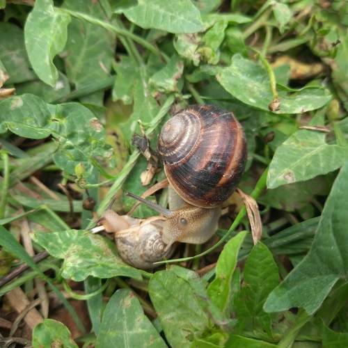 Photo #10729736