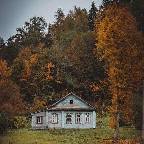 Photo #10730397