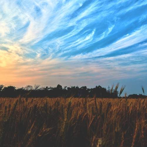 Photo #10730476