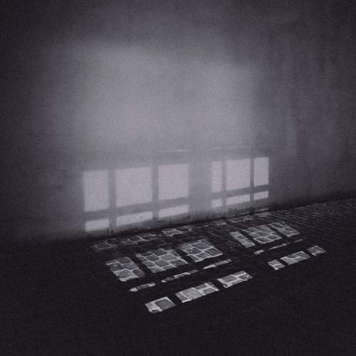 Photo #10730793