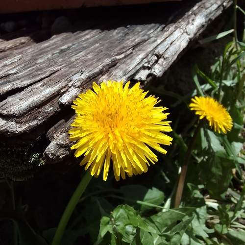 Photo #10730827