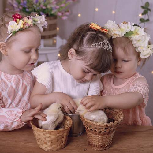 Photo #10730916