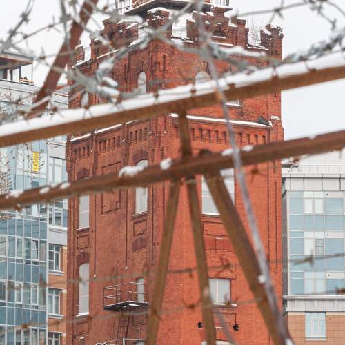 Photo #10730995