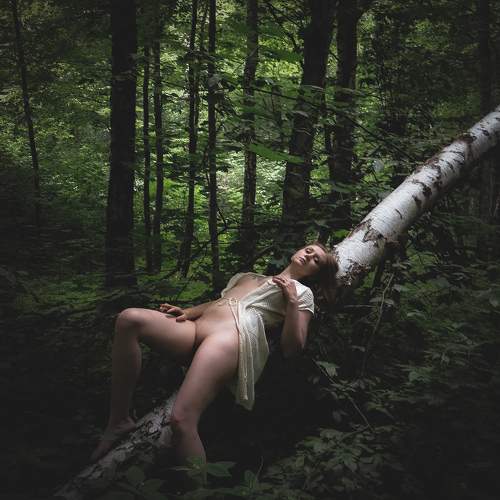 Photo #10731328