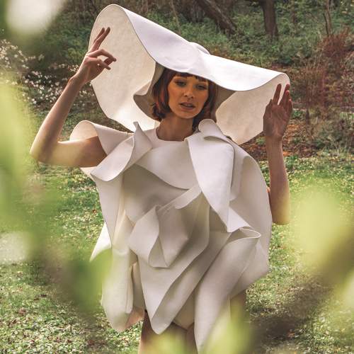 Photo #10731466