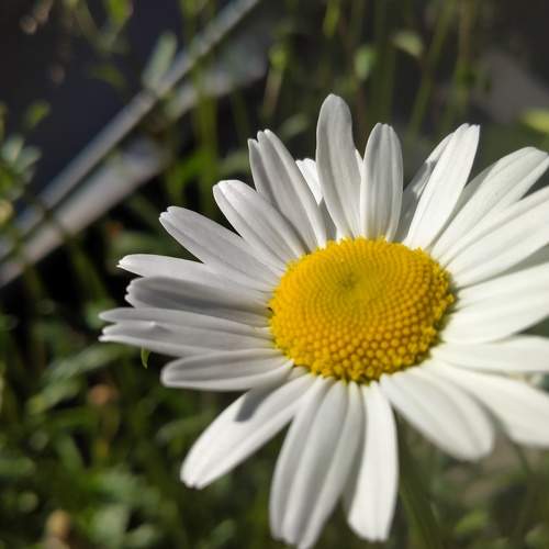Photo #10732145