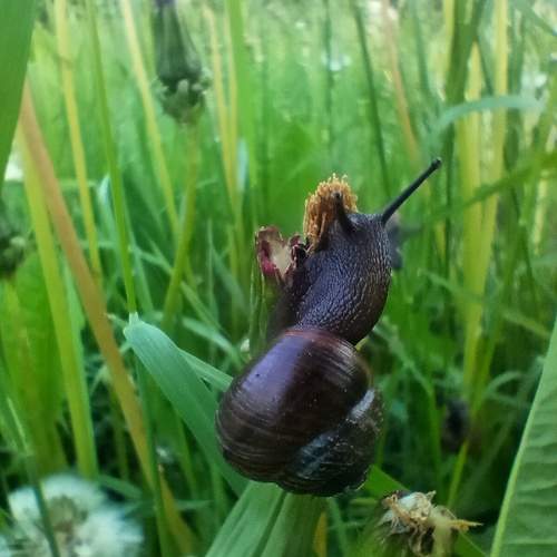Photo #10732146