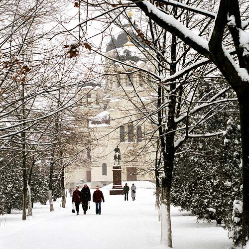 Photo #10733059