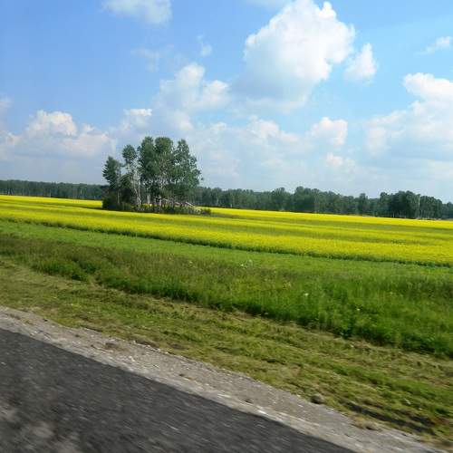 Photo #10733196
