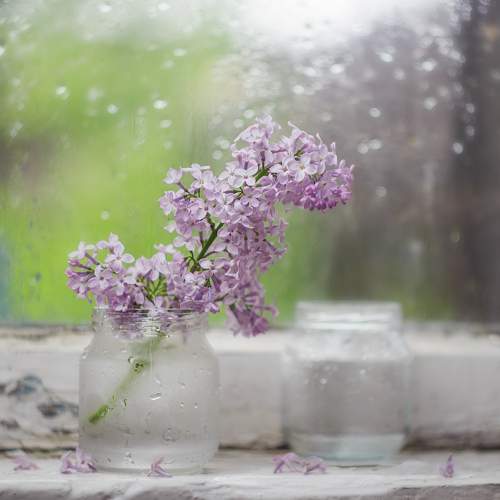 Photo #10733231