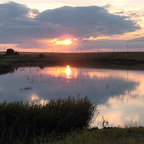 Photo #10733293