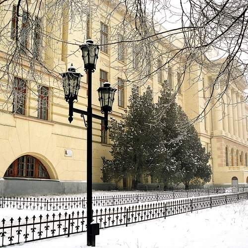 Photo #10733319