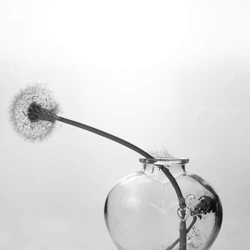 Фотография #10733356