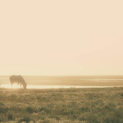 Photo #10733434