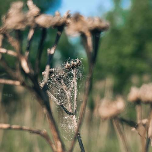 Photo #10733632