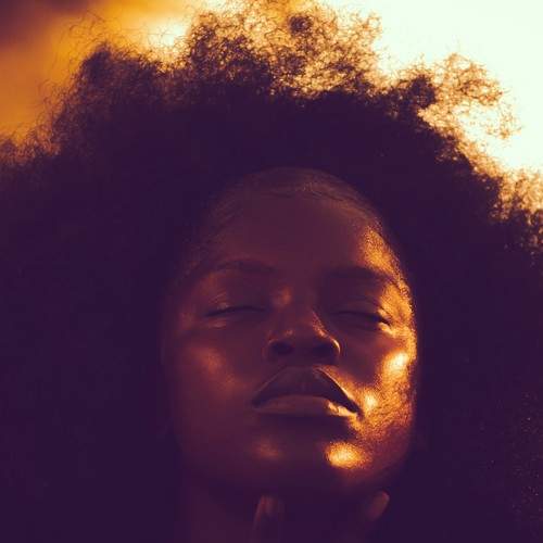 Photo #10733704