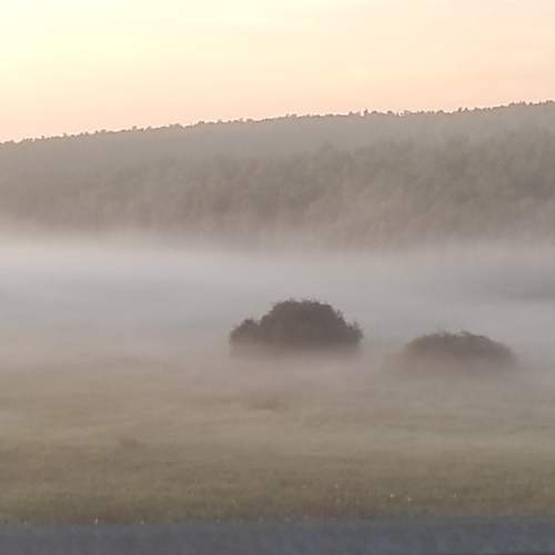 Photo #10734194
