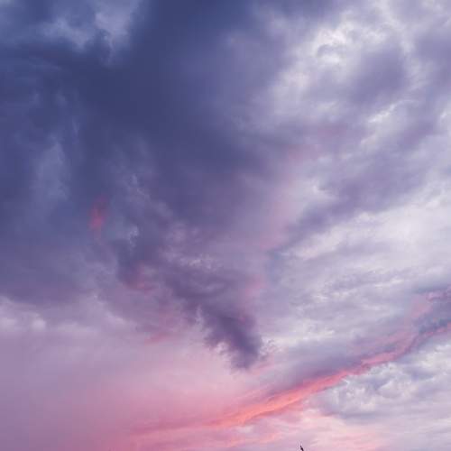 Photo #10734230