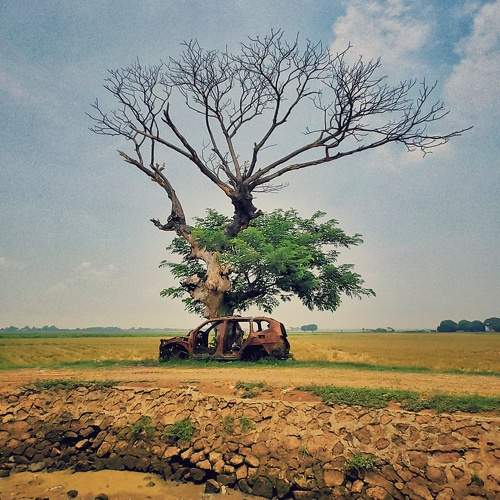 Photo #10734277