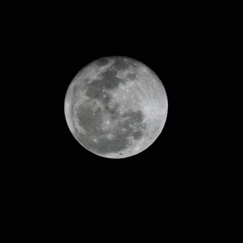 Photo #10734438
