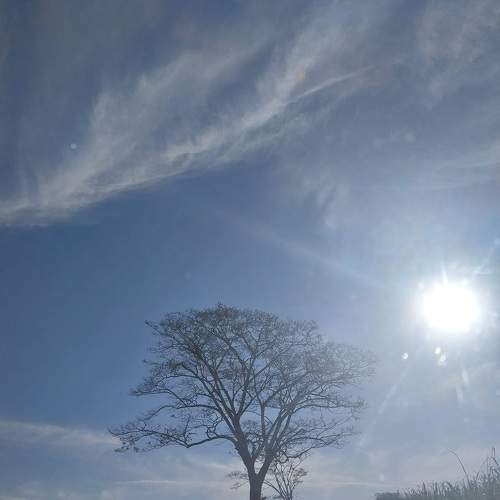 Photo #10734459