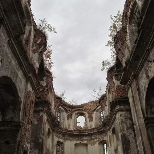 Photo #10734657