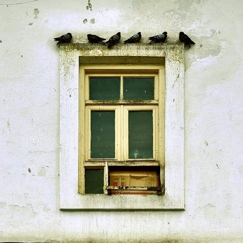 Photo #10735198