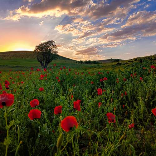 Photo #10735389